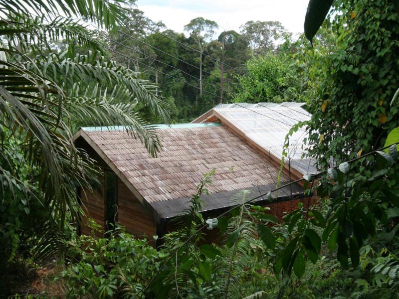Paganakan Dii Tropical Retreat 세필록 외부 사진