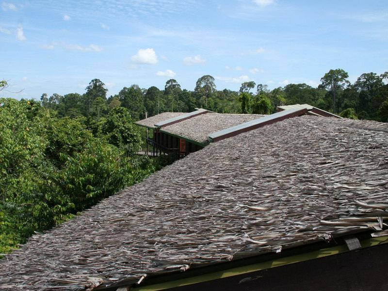 Paganakan Dii Tropical Retreat 세필록 객실 사진