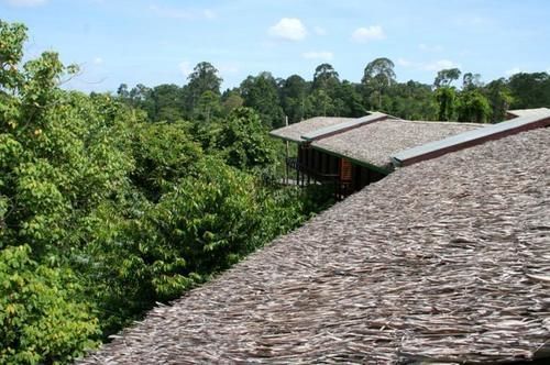 Paganakan Dii Tropical Retreat 세필록 외부 사진