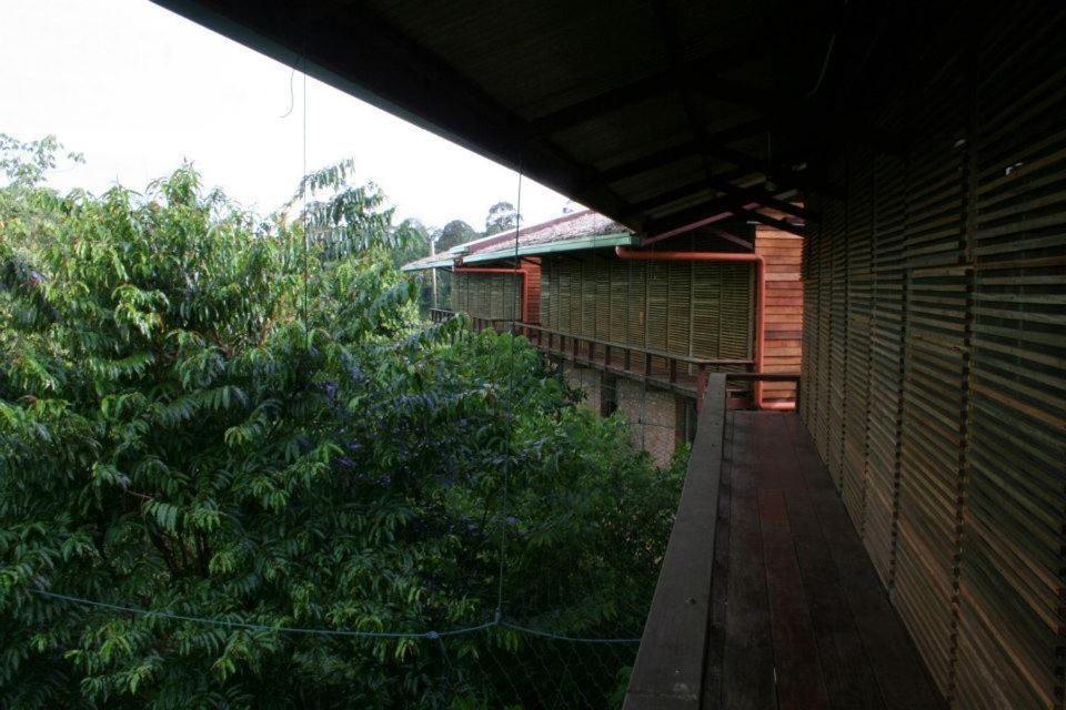 Paganakan Dii Tropical Retreat 세필록 외부 사진